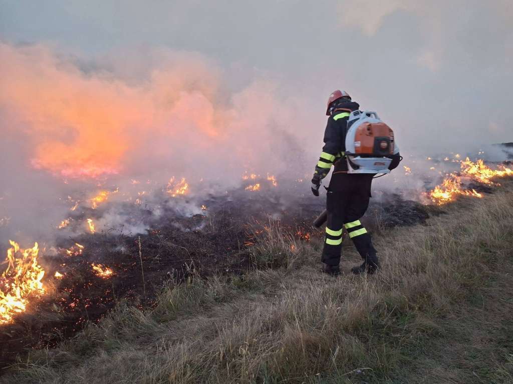 Veliki požar kod Gruda: Izgorjeli stubovi za struju, vatra prijeti i kući