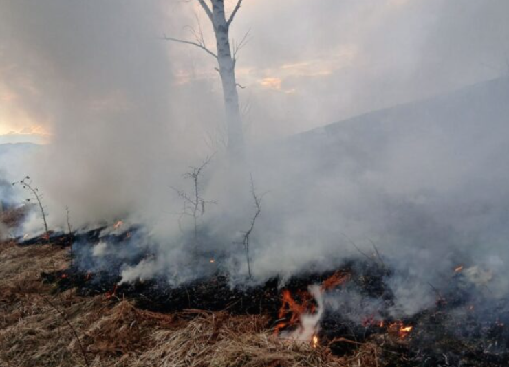 Lokalizovan požar u Trnovu