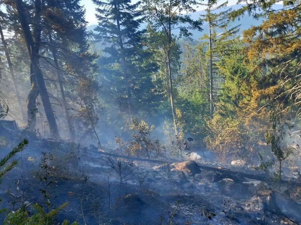 Veliki požar na Grmeču već treći dan, u gašenje se uključili i građani