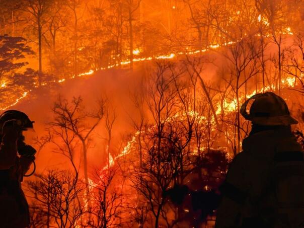 Veliki šumski požar u Francuskoj: Stotine vatrogasaca na terenu