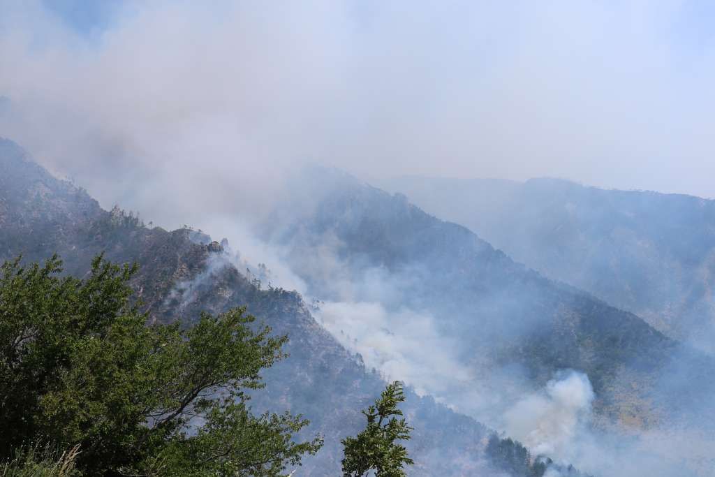 Veliki uspjeh vatrogasaca: Ugašen požar u kanjonu Rakitnice