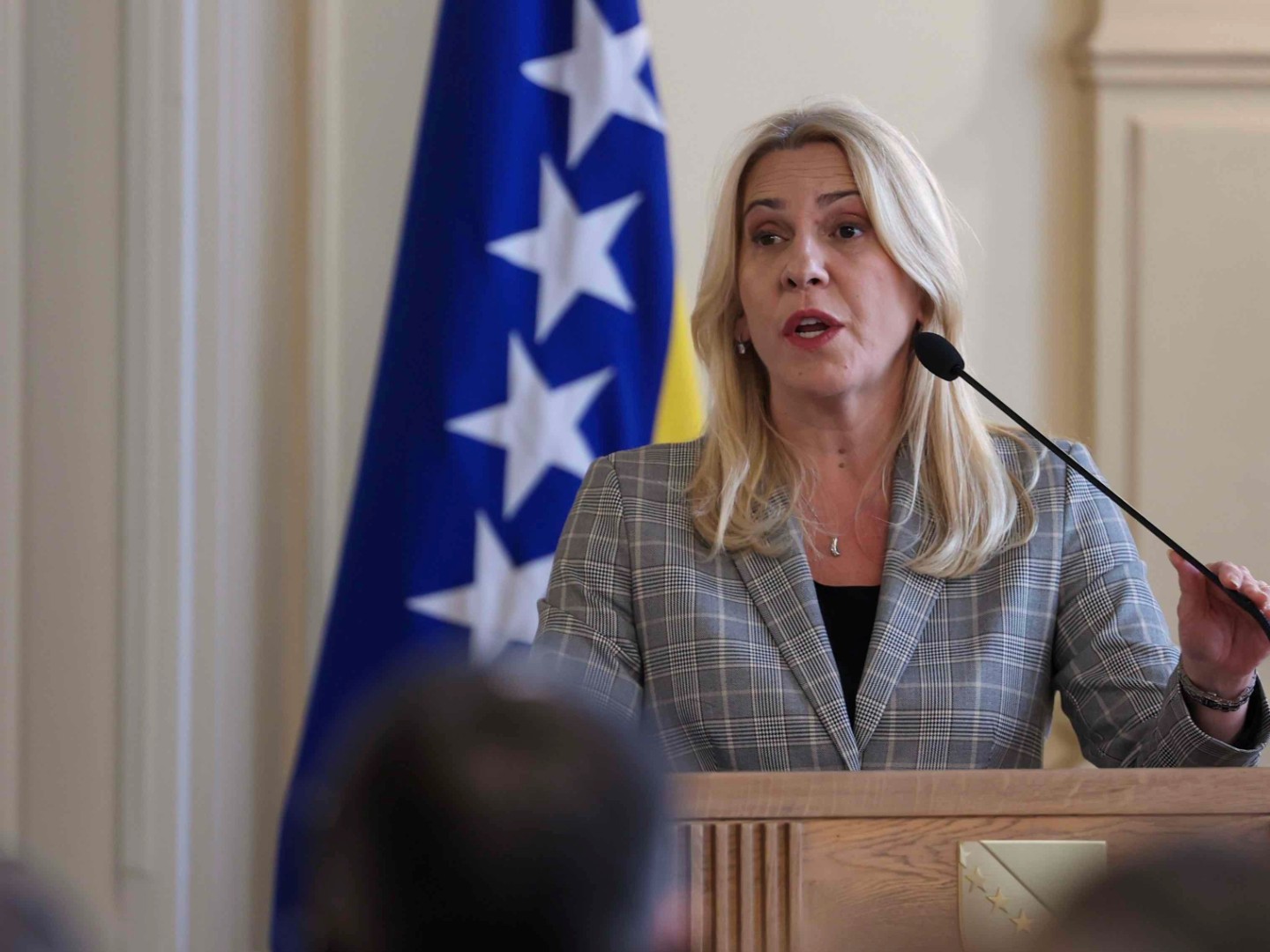 Veto Željke Cvijanović na državnom nivou ozbiljan problem za RS