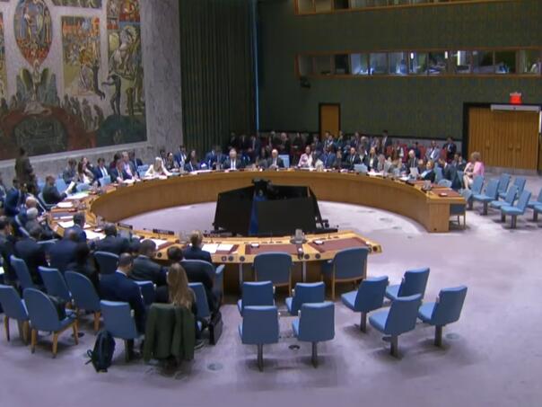 Vijeće sigurnosti osudilo napade Irana, BiH kosponzor Rezolucije