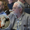 Vijećnik NS-a predložio podizanje spomenika kravi u Sarajevu