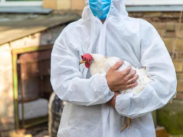 Virus ptičje gripe uzrokovao prvu smrt: Zaraženi preminuo u SAD