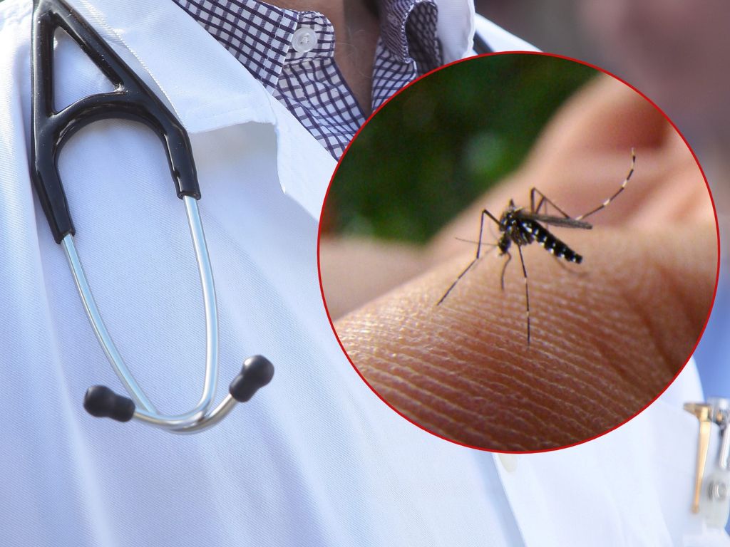 Virus Zapadnog Nila sve bliže: Ovo su simptomi koje ne smijete ignorisati