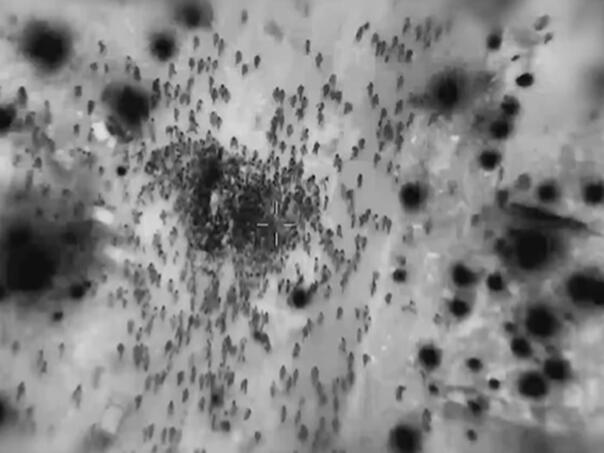 Više od 100 poginulih i 700 ranjenih Palestinaca u redu za hranu