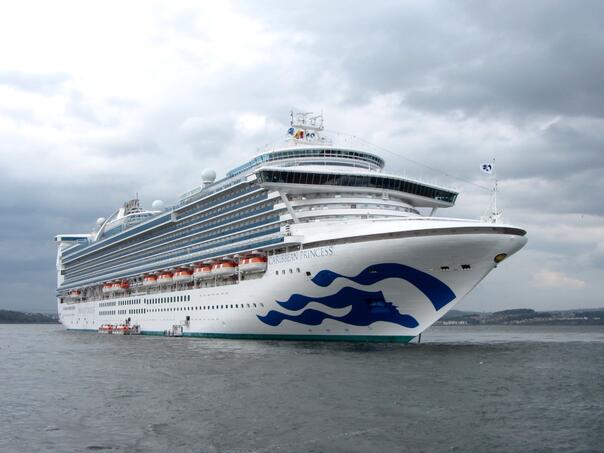 Više od 100 putnika oboljelo na kruzeru "Caribbean Princess" od norovirusa