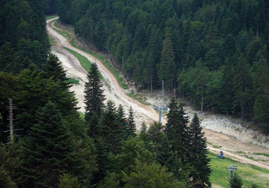 Više od 200 novih sadnica na Igmanu