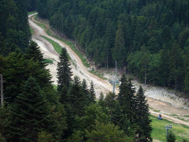 Više od 200 novih sadnica na Igmanu