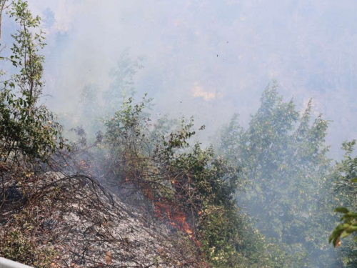 Više požara u Zapadnohercegovačkom kantonu, opožareno oko 20 hektara