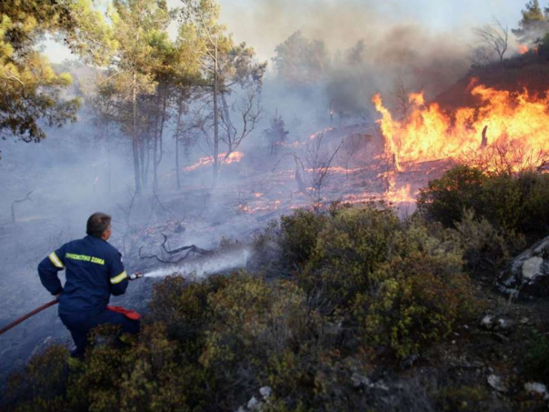 Vjetrovi raspiruju požare u Grčkoj