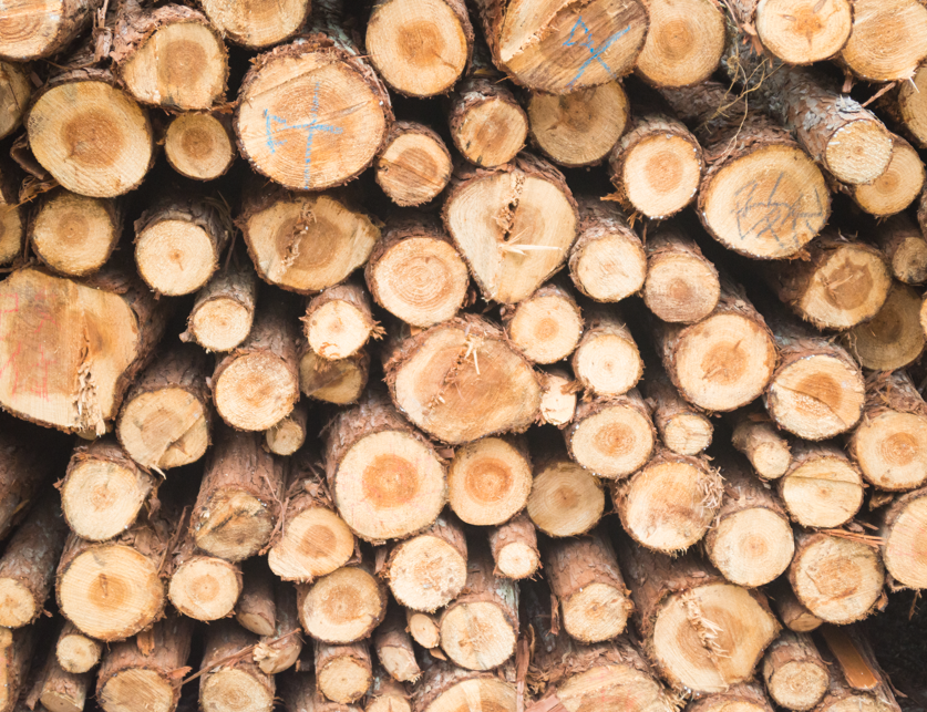 Vlada izdvojila 60.000KM za subvencioniranje ogrijeva za penzionere