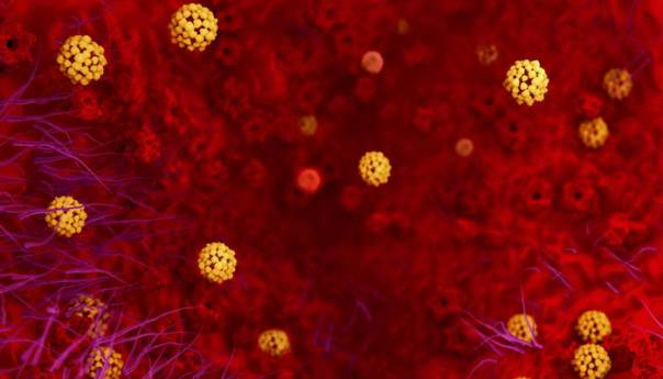Vlažna sluznica može pomoći u zaštiti od korona virusa