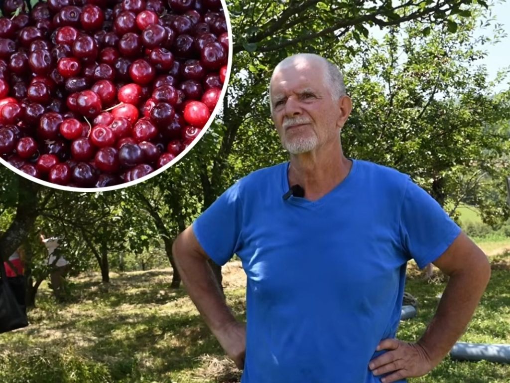 Voćar ostao u čudu nakon neobičnog zahtjeva: Tražio višnje, ali...