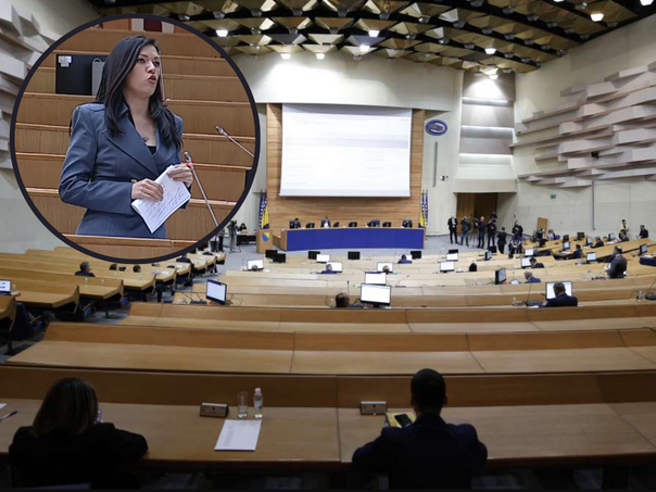 SNSD protiv: Hoće li država obuzdati cijene goriva?