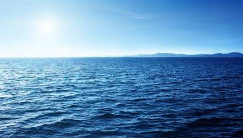 WWF: Ne promijenimo li navike, more će ubrzo biti prazno