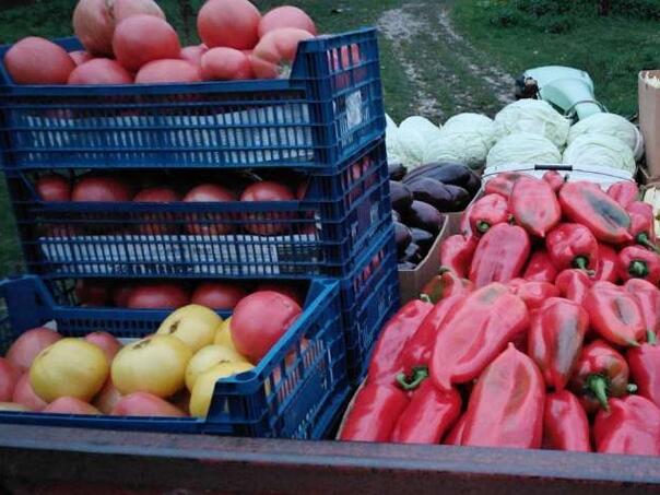 Za podsticaje u poljoprivredi u BPK Goražde planirano 600.000 maraka