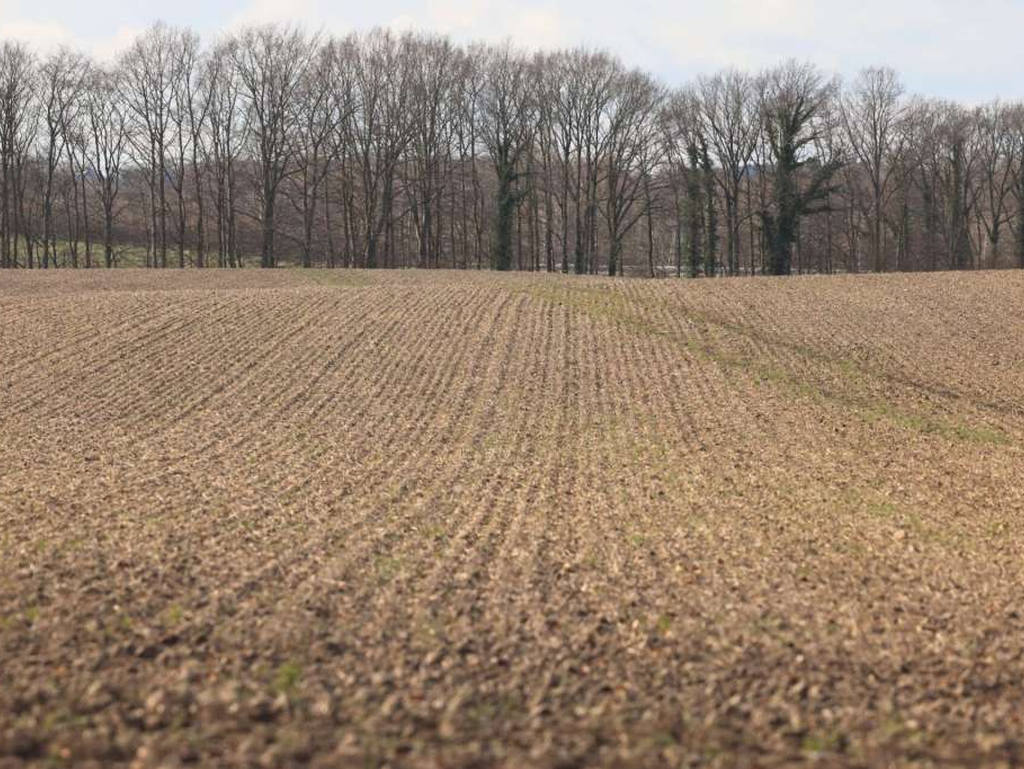 Za poljoprivredu u USK i FBiH više od 43 miliona KM novčanih podrški u 2025.