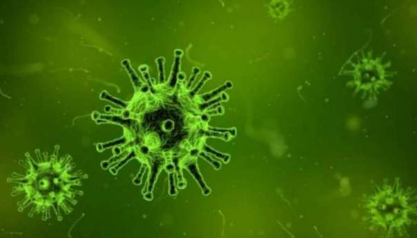 Za vikend u Crnoj Gori koronom zaraženo 46 osoba