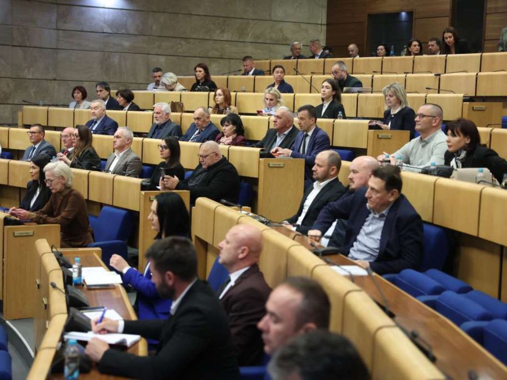 Zakon o Južnoj interkonekciji usvojen u Domu naroda FBiH