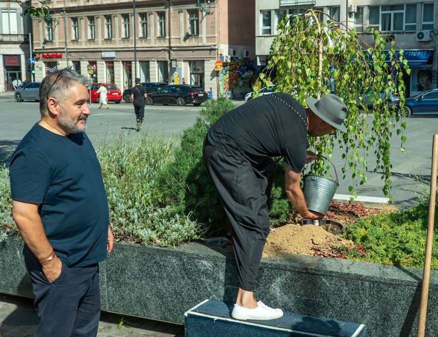 Zasađeno "drvo života" na Pozorišnom Trgu Susan Sontag