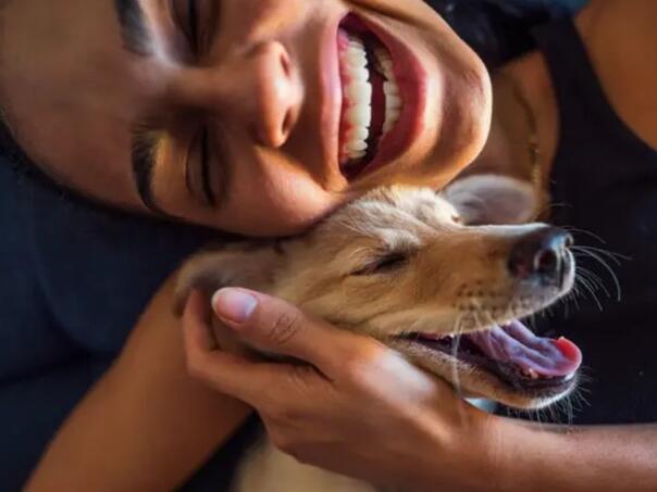 Zašto volimo pse? Nauka ima odgovor