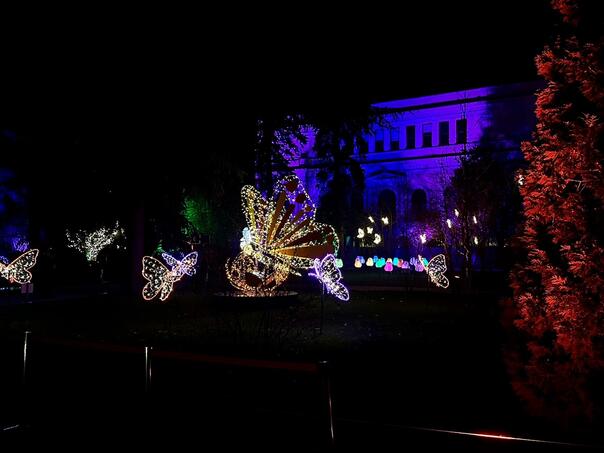 Završen Festivala svjetla u Sarajevu