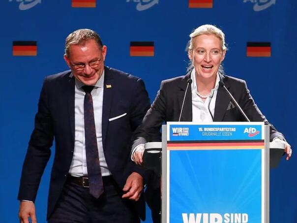 Želje njemačkih desničara: Izlazak iz EU, ukidanje eura...