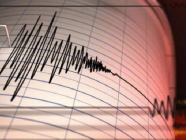 Zemljotres pogodio Andamanska ostrva u Indiji