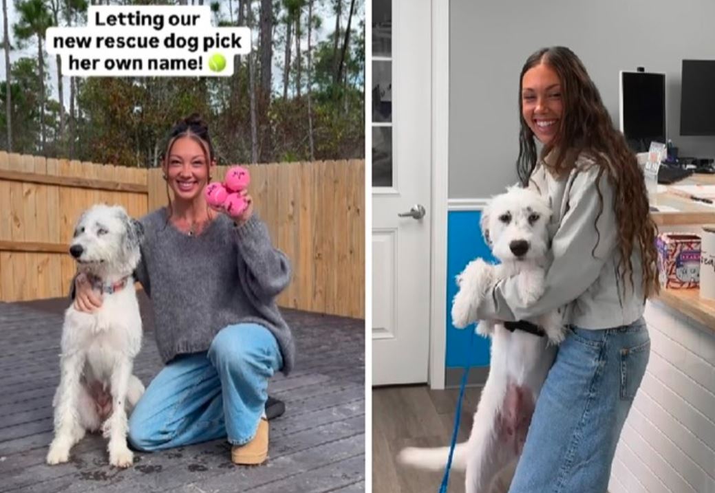 Žena "prešla pola svijeta" da spasi psa