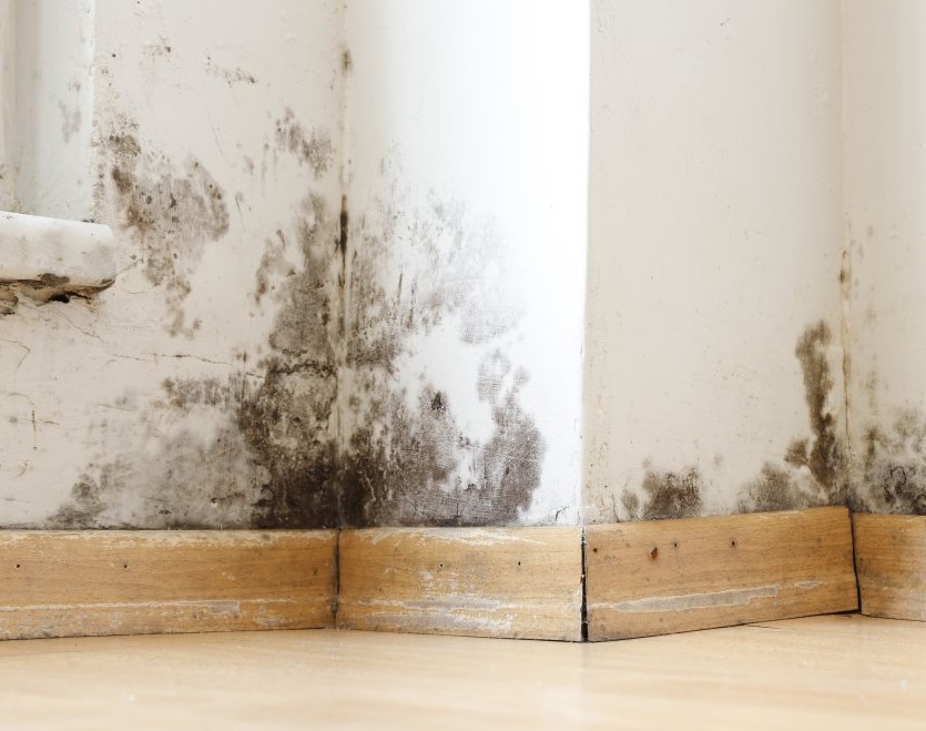 Zimska opasnost u kući: Ljekari upozoravaju na posljedice vlage i plijesni