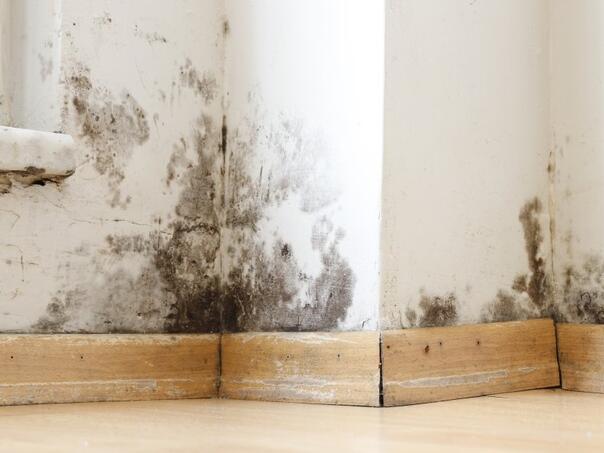 Zimska opasnost u kući: Ljekari upozoravaju na posljedice vlage i plijesni