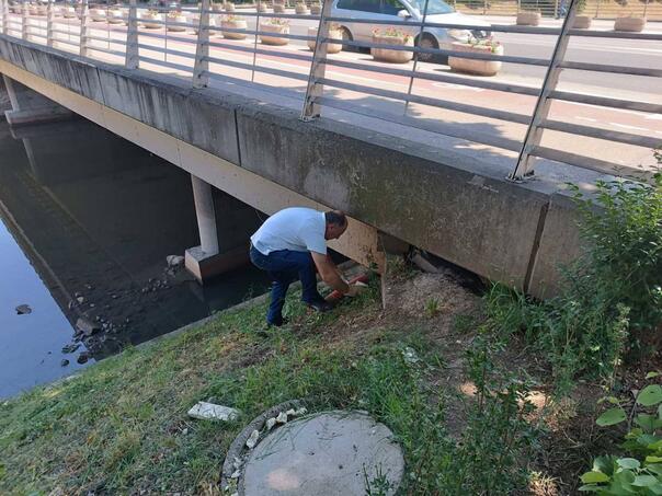 Zmije na Vilsonovom, vlast na potezu: Provedene posebne mjere
