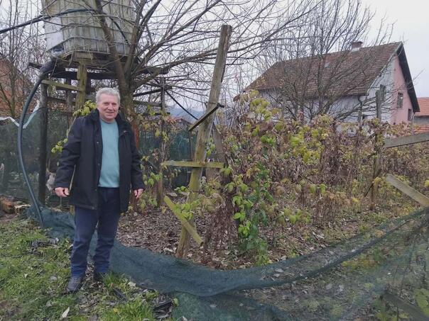 Znatno smanjena proizvodnja maline na području Srebrenice, Bratunca i Milića